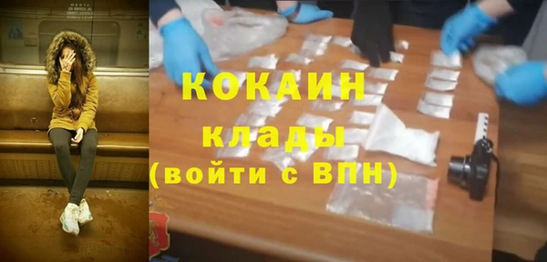 шишки Абаза