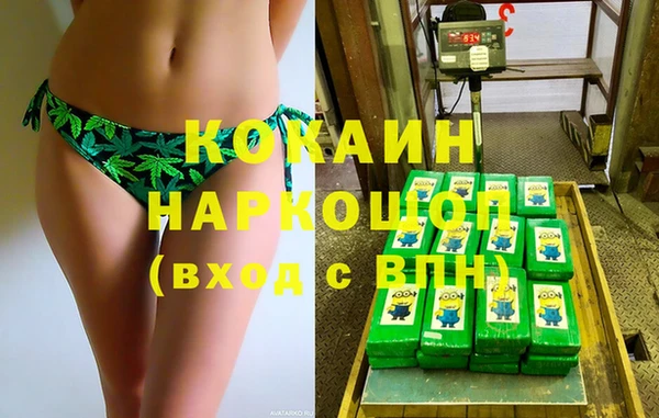 шишки Абаза