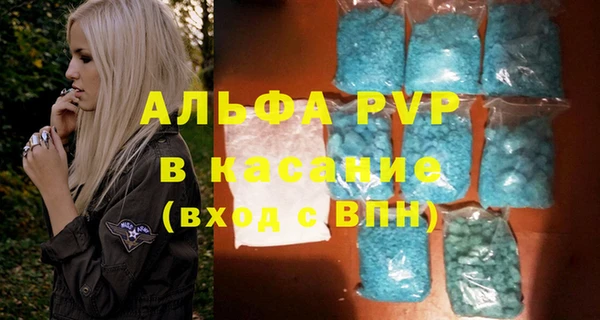 шишки Абаза