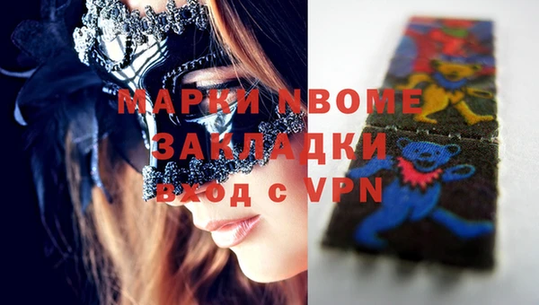 шишки Абаза