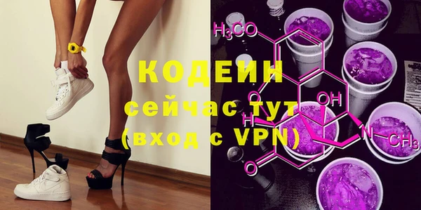 шишки Абаза