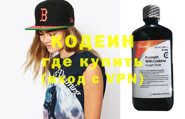 шишки Абаза