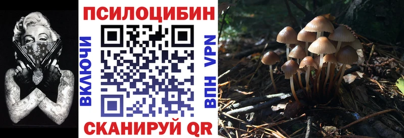 Галлюциногенные грибы ЛСД  маркетплейс клад  Богданович 
